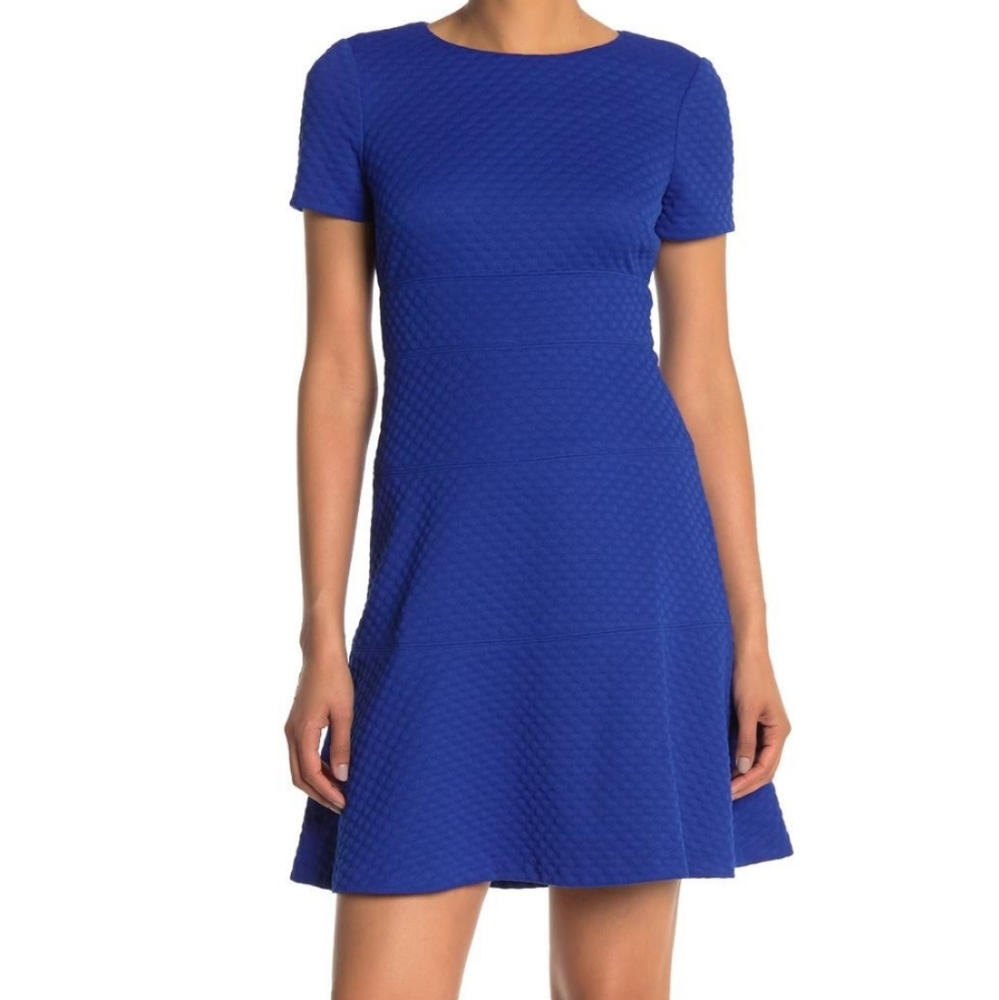 Eliza J Women's  Dot Texture Fit Flare Dress in Royal Blue Size 4